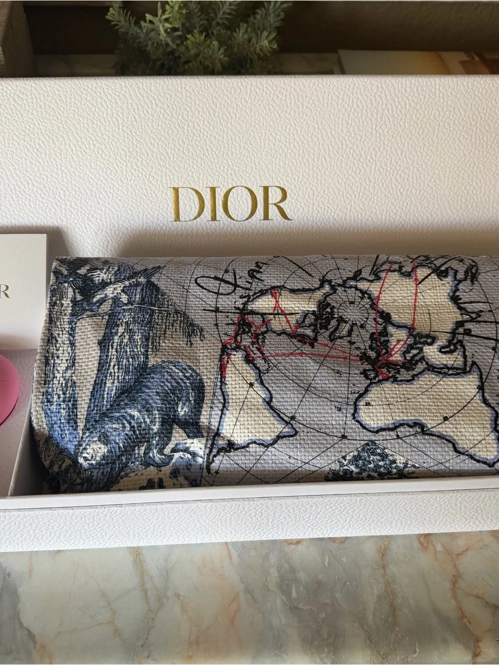 Dior Around The World Tote Bag - Picture 5 of 7